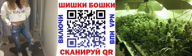Конопля SATIVA & INDICA купить наркотики цена Малмыж